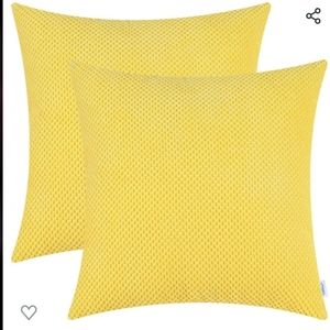 Set of Two 20"x20" Pillow Covers